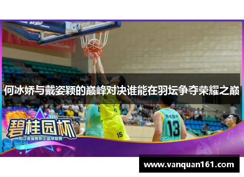 何冰娇与戴姿颖的巅峰对决谁能在羽坛争夺荣耀之巅